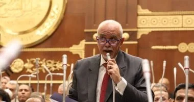 حازم الجندي: خطوات جدية لإنهاء معاناة الأسر بمصر