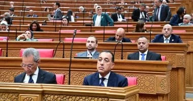 أمن الخليج جزء من الأمن القومي المصري