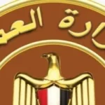 1200 فرصة عمل جديدة للشباب في الأقصر