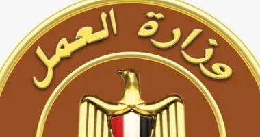 1200 فرصة عمل جديدة للشباب في الأقصر