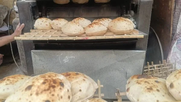 ضبط مخالفات في مخابز وأنشطة تجارية بالقليوبية