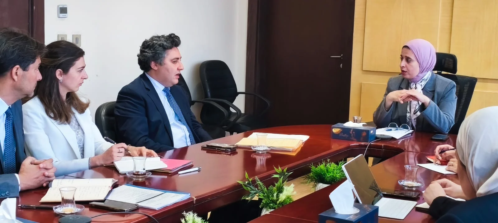 تعزيز التعاون بين مصر وفرنسا في مجالات حيوية