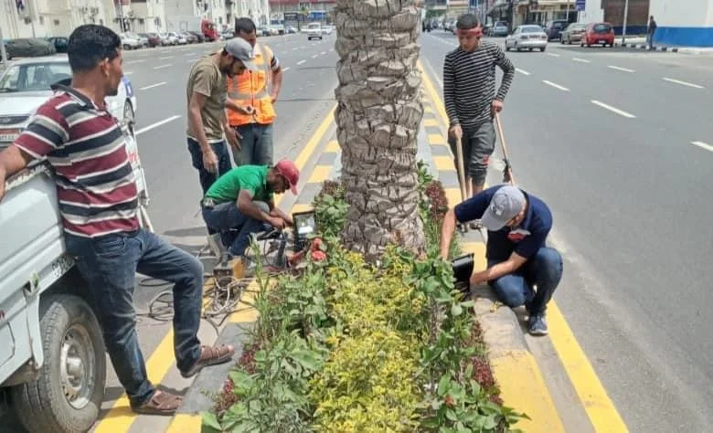 مبادرة "رصيفنا مسئوليتنا" لتحسين شوارع المعادي