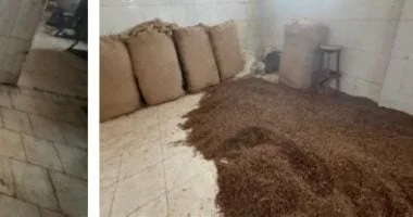 ضبط 15 طن معسل فاسد في محافظة الدقهلية