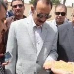 محافظ سوهاج يتفقد حصاد القمح ويعلن استلام 8431 طناً