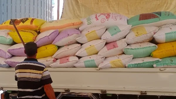 توريد 890 طن قمح بكفر الشيخ منذ بداية الموسم