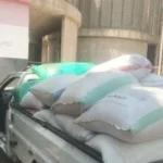 مراحل تخزين القمح في صومعة شبين الكوم