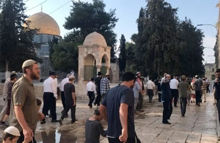 اقتحام 152 مستوطناً للمسجد الأقصى بحماية الاحتلال