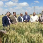 جهود استصلاح الأراضي في مصر خلال أبريل