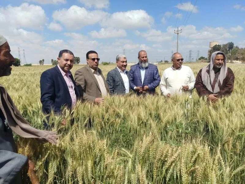 جهود استصلاح الأراضي في مصر خلال أبريل