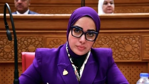 تعديل قانون حماية الملكية الفكرية لمواجهة التزوير