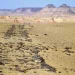 أقدم طريق سريع في العالم يعود لمصر