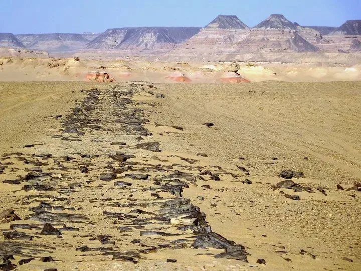 أقدم طريق سريع في العالم يعود لمصر