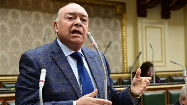 تكريم منى ربيع وحسن جاد في مهرجان الإسكندرية للفيلم القصير