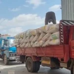 ارتفاع توريد القمح المحلي بكفر الشيخ إلى 890 طناً