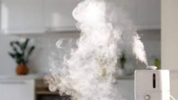 هل هواء منزلك أخطر من الهواء الخارجي؟