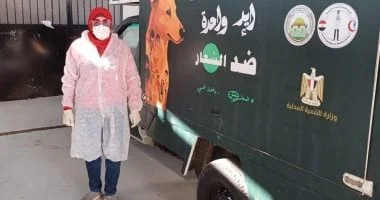 استمرار حملات جمع الكلاب الحرة في بورسعيد