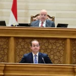 تأثير تكاتف الشعب مع السياسات المالية المصرية