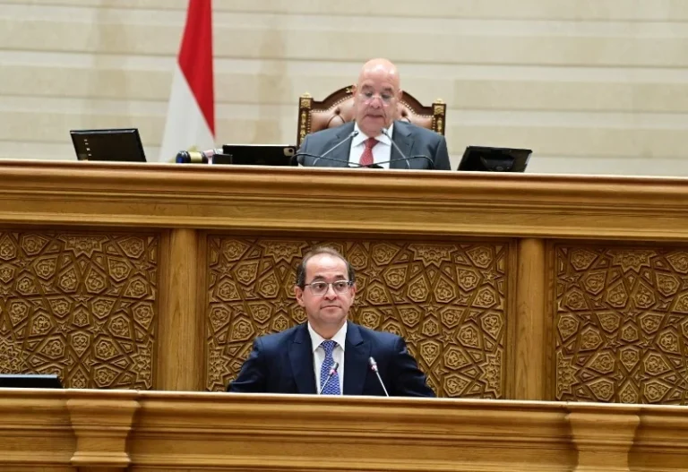 تأثير تكاتف الشعب مع السياسات المالية المصرية