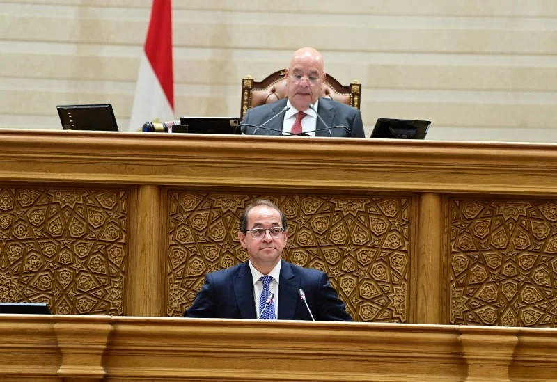 تأثير تكاتف الشعب مع السياسات المالية المصرية