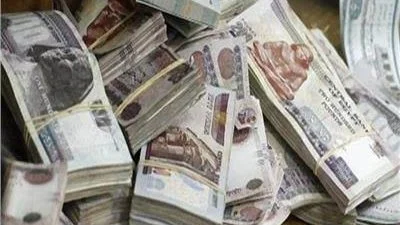 ضبط تاجري مخدرات يغسلان 400 مليون جنيه