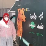 تداول مكثف للكلاب الضالة ببورسعيد