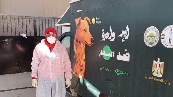 تداول مكثف للكلاب الضالة ببورسعيد