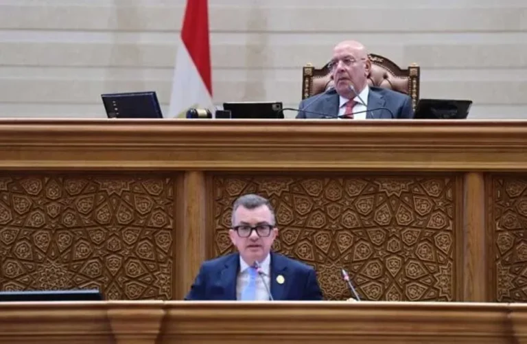 وزير التخطيط يقدم مشروع خطة التنمية الاقتصادية للنواب