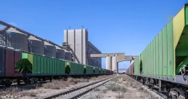 104 آلاف طن قمح في ميناء دمياط اليوم