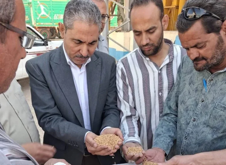 توريد 7191 طن قمح في أسيوط وتيسيرات لدعم المزارعين