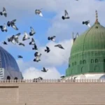 رؤيا النبي محمد ﷺ في المنام وطرق تحقيقها