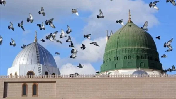 رؤيا النبي محمد ﷺ في المنام وطرق تحقيقها