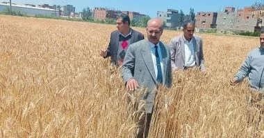 وكيل زراعة دمياط يتفقد مراكز تجميع القمح استعداداً لموسم الحصاد