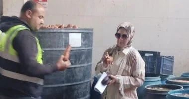 ضبط 32 طن مخلل فاسد في حملة تموينية بالدقهلية