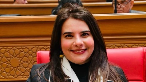 دور مصر الدبلوماسي في احتواء التصعيد الإقليمي