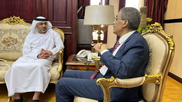 تعزيز التعاون الإعلامي بين مصر والإمارات