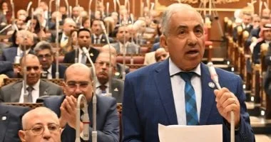 قيادة مصرية نجحت في تحقيق تقدم كبير بشبه جزيرة سيناء