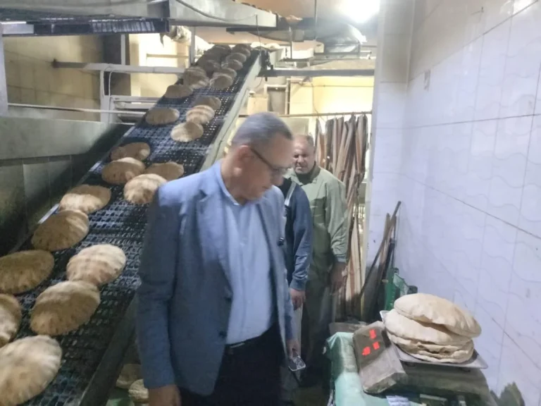 ضبط 32 طن مخلل فاسد و150 أسطوانة غاز بالدقهلية