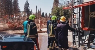 فيديو يوثق محاولة الإمساك بقرد هارب في المنوفية