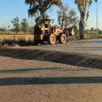 تحسين السلامة المرورية في كفر الشيخ