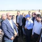 انطلاق موسم حصاد القمح من مركز زفتى