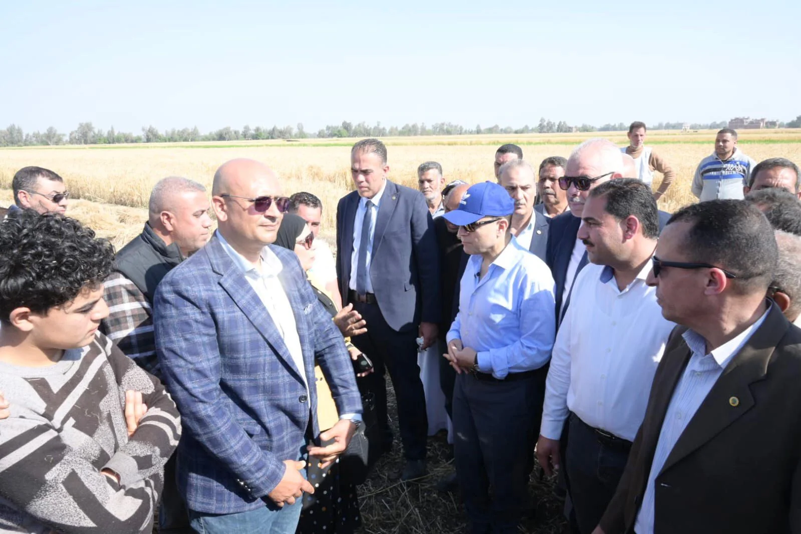 انطلاق موسم حصاد القمح من مركز زفتى