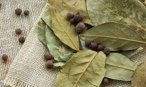 فوائد ورق الغار لعلاج الصداع النصفي وعسر الهضم