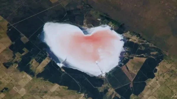 بحيرة وردية في الأرجنتين تذهل العلماء