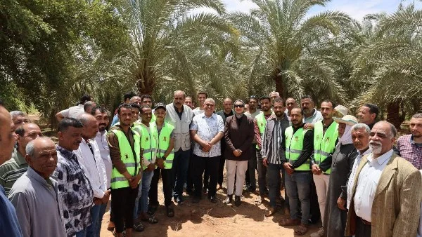 إطلاق طفيل الترايكوجراما لمكافحة آفات النخيل في الوادي الجديد