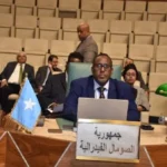 موقف عربي موحد ضد تدخل إسرائيل في الصومال