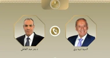 وزير الخارجية يتحدث مع رئيس البرلمان اللبناني حول وقف إطلاق النار