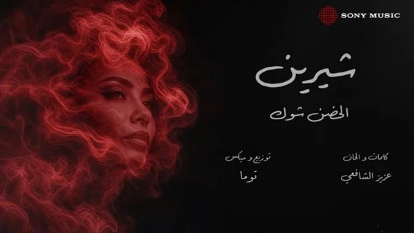 شيرين عبد الوهاب تطلق أغنية "الحضن شوك" الجديدة