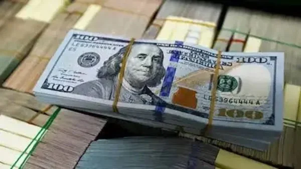 استقرار سعر الدولار أمام الجنيه المصري اليوم