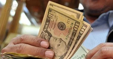 استقرار سعر الدولار أمام الجنيه المصري اليوم